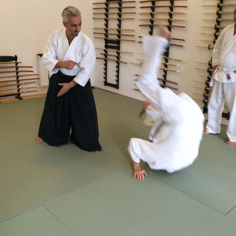 Foto: Aikido Training 023